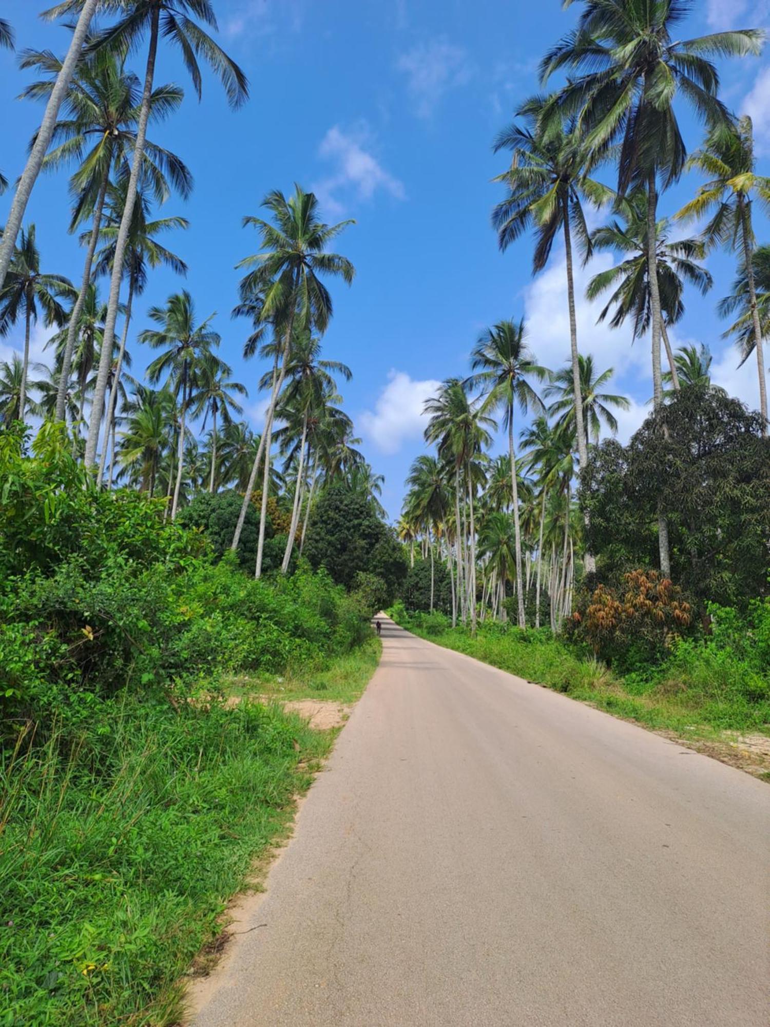 Villa Adelina Zanzibar Buitenkant foto