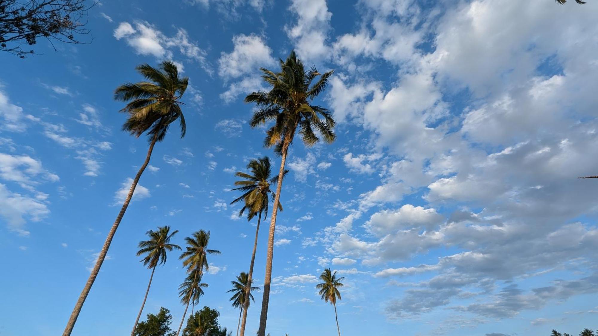 Villa Adelina Zanzibar Buitenkant foto